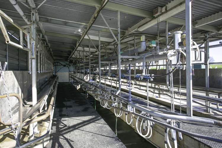 224 Maungakawa Road Ngarua_8