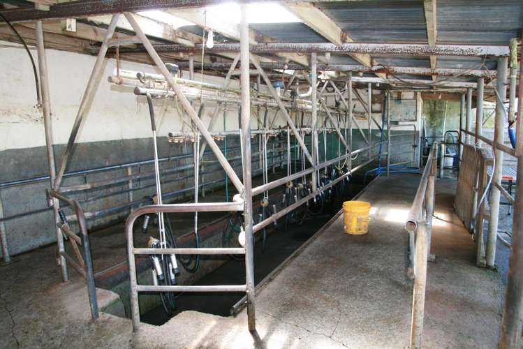 346 Lincoln Road Inglewood_14