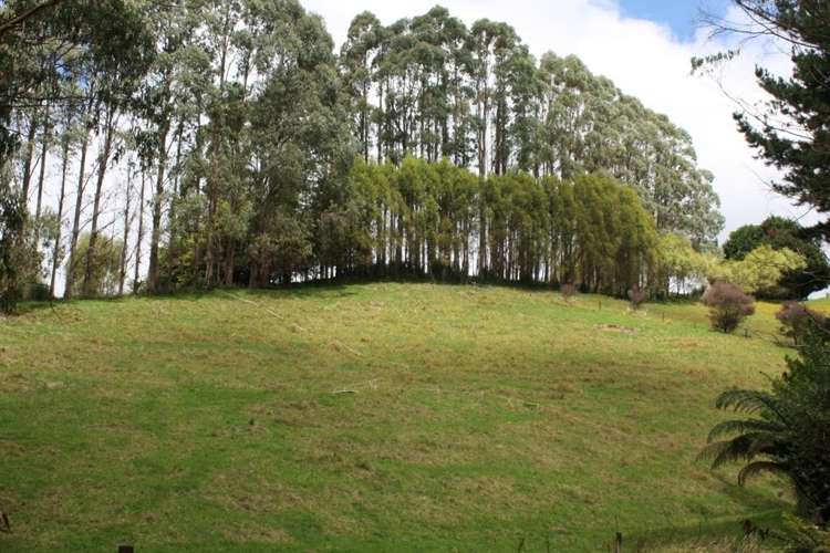 303 Arthur Road Te Pahu_7