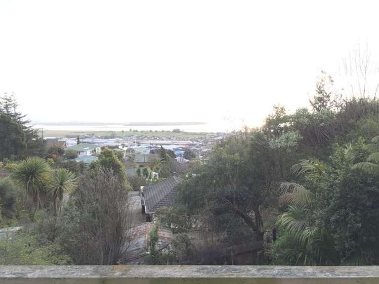 49 Chamberlain Street Tahunanui_11