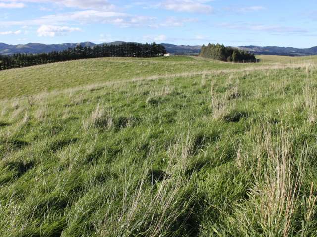 308 Taieri Peak Road Palmerston_4