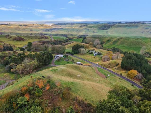 272 Pikowai Road Pikowai_1