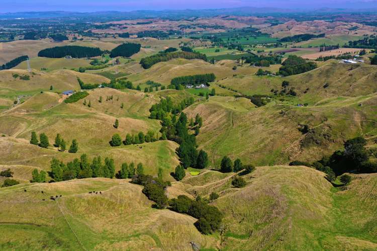 754 Puketitiri Road Puketapu_4