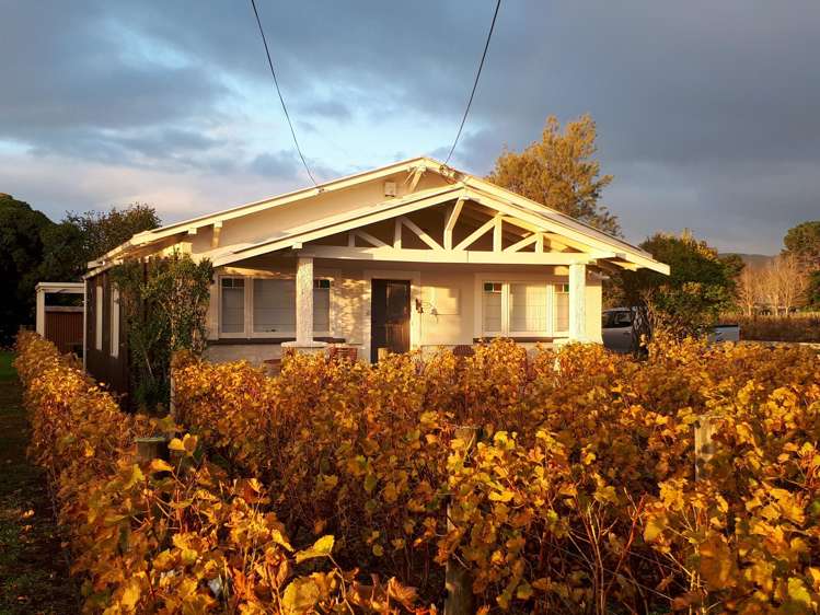 49 Oxford Street Martinborough_27