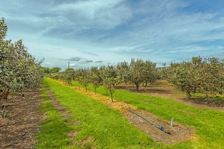 961 Lockwood Road Kairanga_23