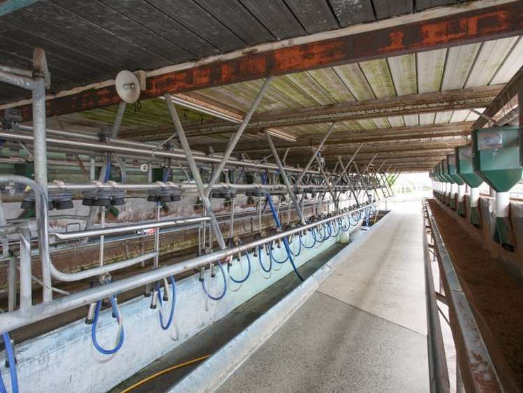 438 Waotu South Road Putaruru_1