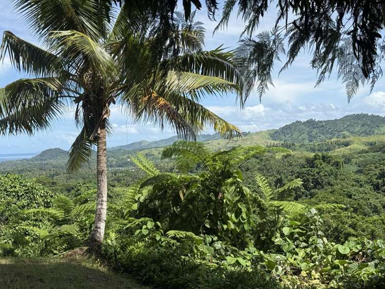 Lot 8 Raintree, Oneva Savusavu_6