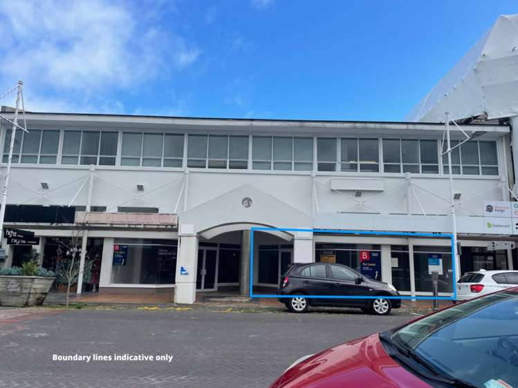Tenancy 1/117 Willow Street_0