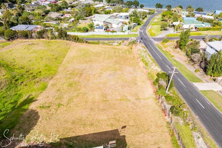 Oxford Street Whakapirau_8