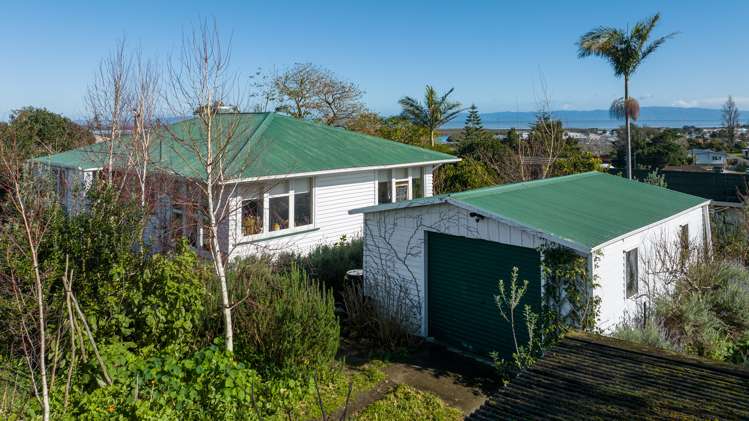 113 Grafton Road Thames_8