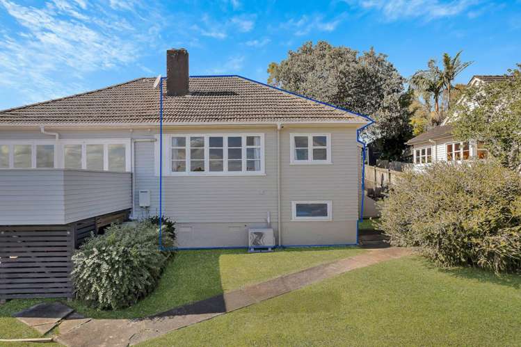 20a Hadfield Avenue Waterview_0