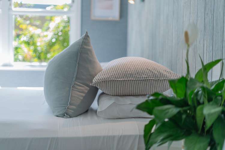 118 Sh25 Kuaotunu_10