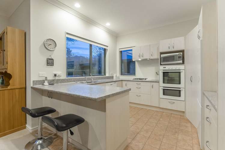 100 Maui Pomare Road Nikau Valley_7