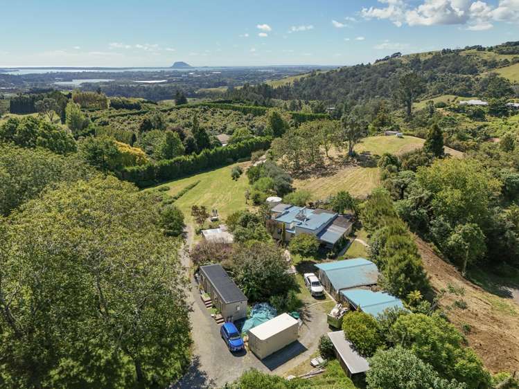 257D Whakamarama Road Whakamarama_21