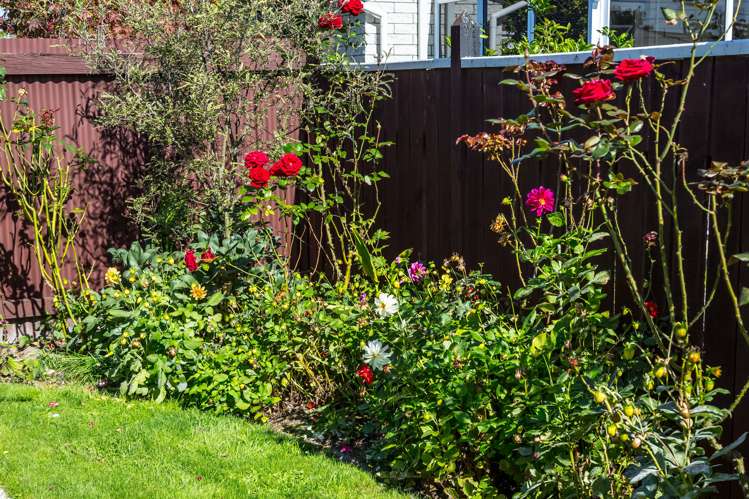 8a Second Street Masterton_16