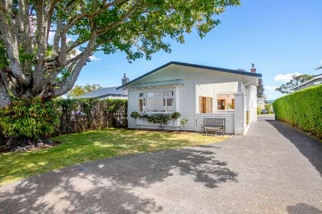 3 Hawea Road Point Chevalier_1