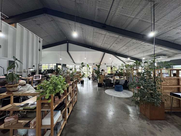 21 Scanlan Street Grey Lynn_4