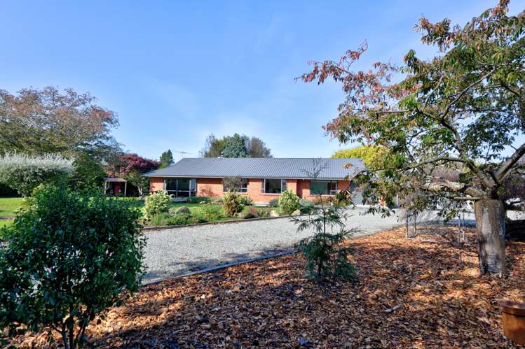 50 Morton Street Edendale_1