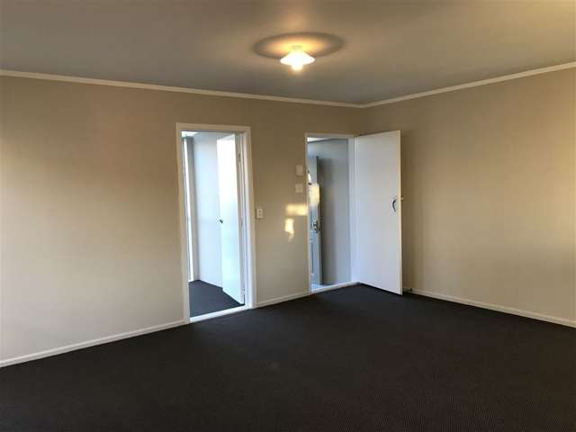 67 Webster Avenue Mt Roskill_4