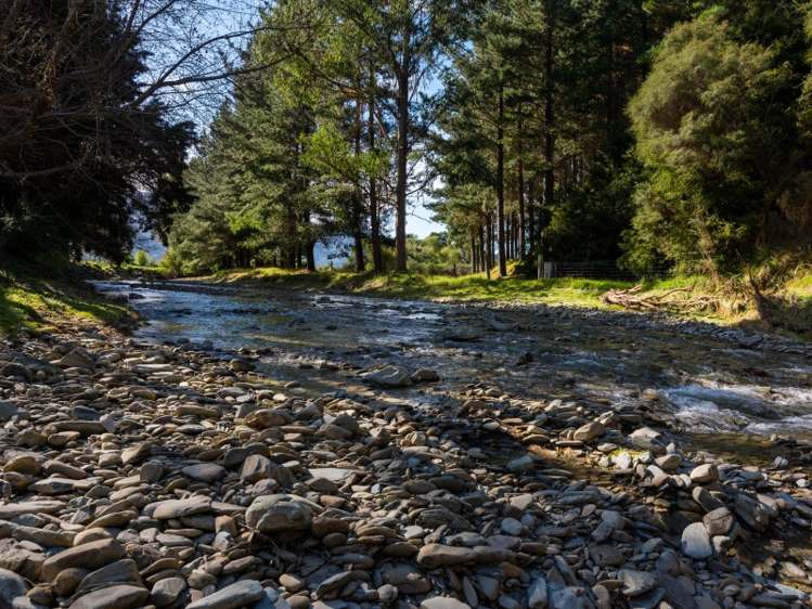 777 State Highway 1 Picton_16