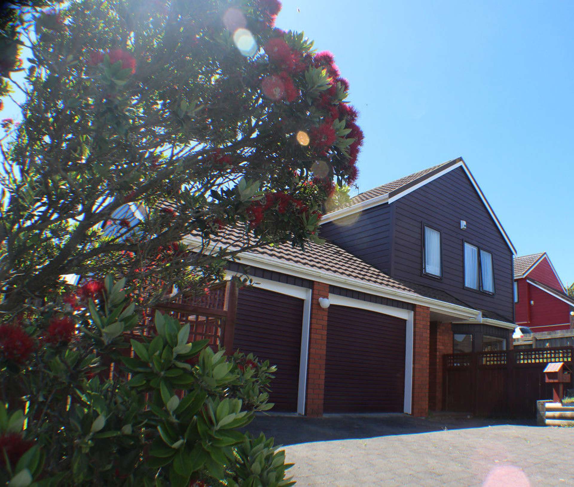 56 Erris Street Johnsonville_0