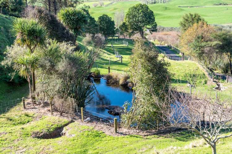 836b Braemar Road Rotoma_39