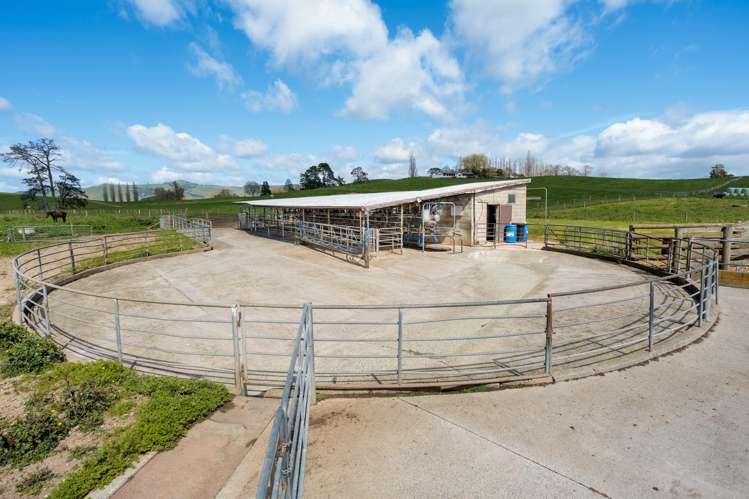 17 Chepmell Road Morrinsville_13