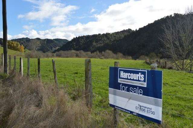 41 Koromiko Road Waimiha-Ongarue_1