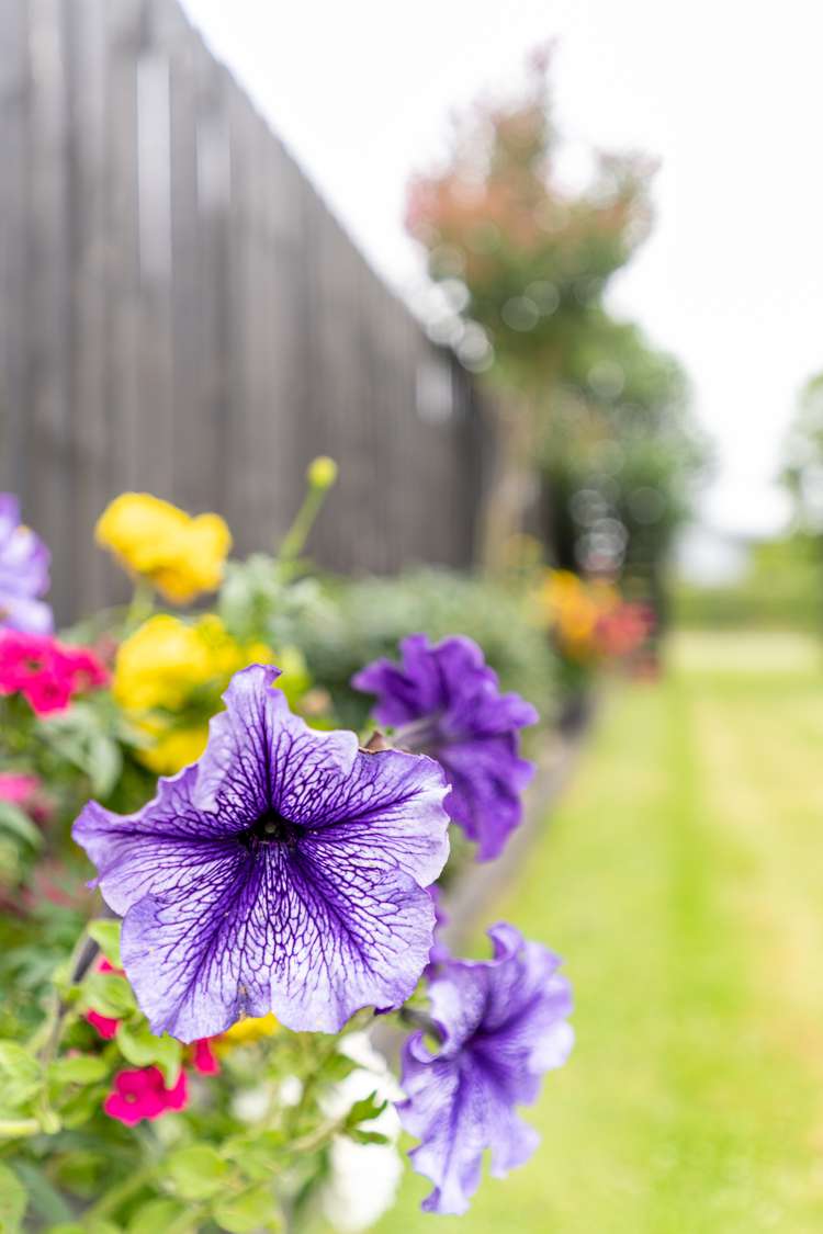 5 Saint Andrews Lane Kirwee_29