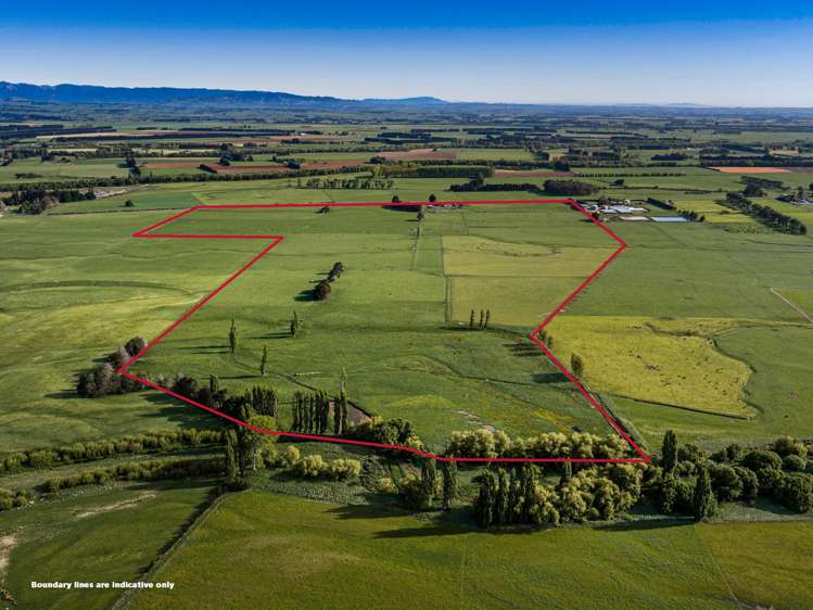 3637 State Highway 2 Takapau_10