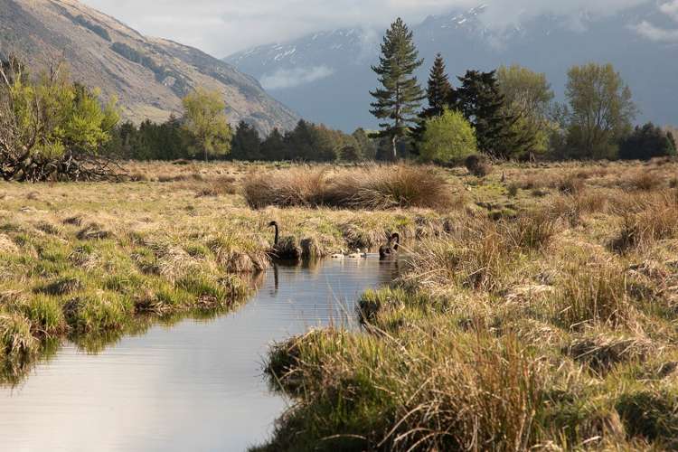 347 Glenorchy-Paradise Road Glenorchy_16