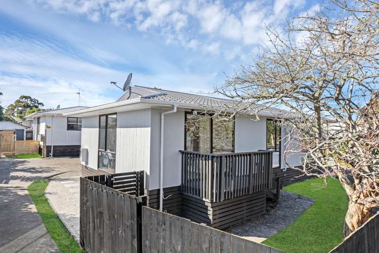 88A Parrs Cross Road Henderson_12