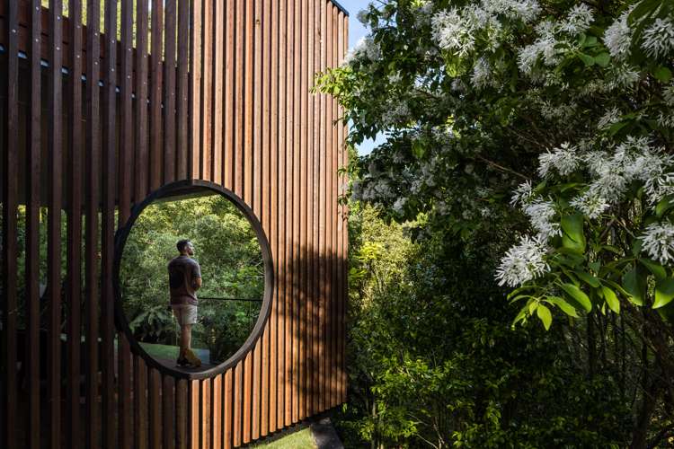 20b Donny Avenue Chartwell_3