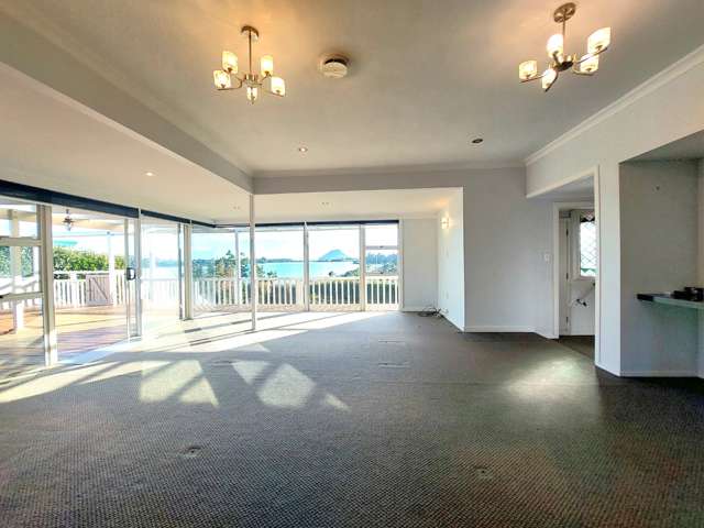 113 Fourth Avenue Tauranga Central_1