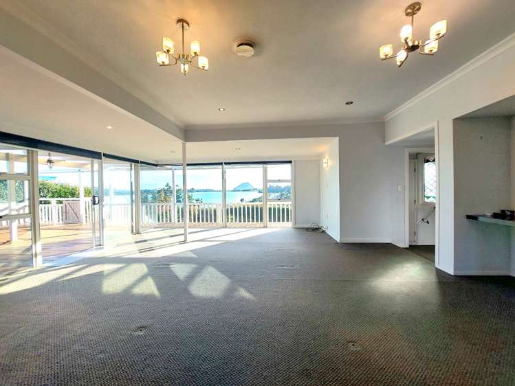 113 Fourth Avenue Tauranga Central_1