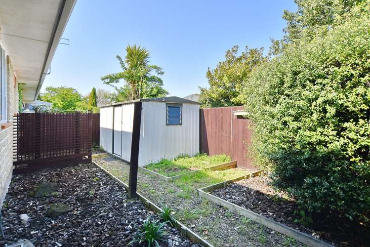 1/6 Bute Street Woolston_19