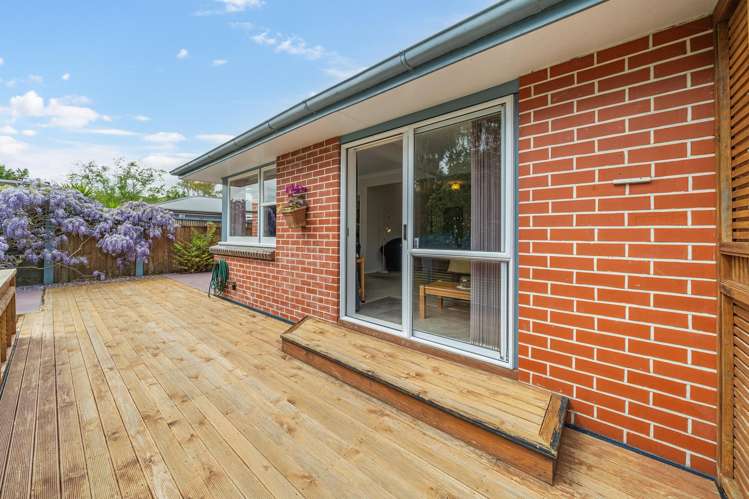 195 Taita Drive Avalon_8