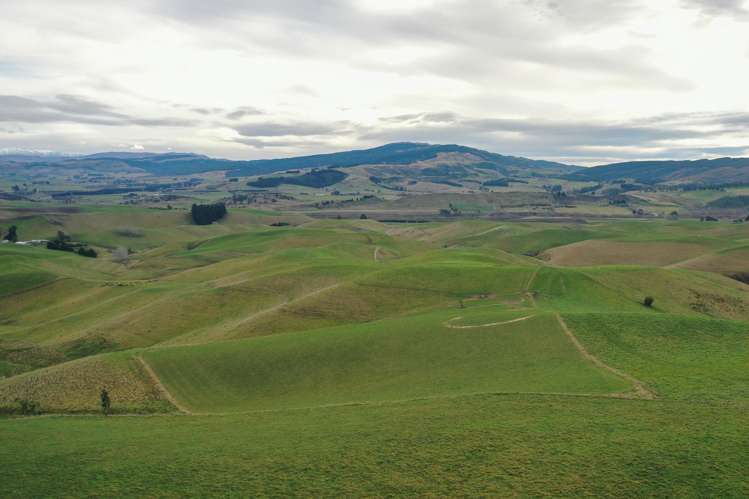 112 Waikakahi Valley Road Ikawai_8