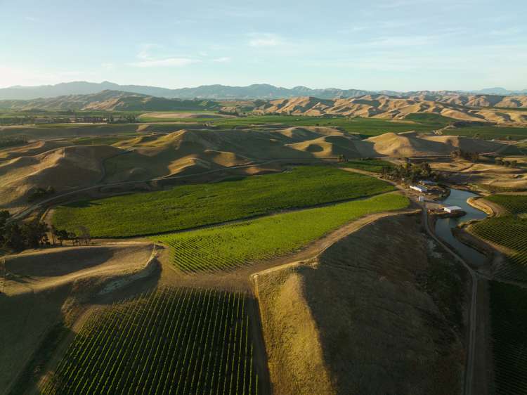 217 Caseys Road Seddon_4