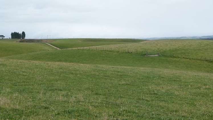 188 Homestead Road Clinton and Surrounds_18