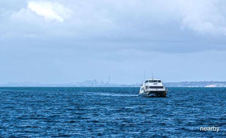 575 Laurie Southwick Parade Gulf Harbour_11