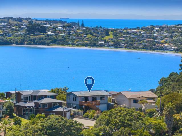 Quintessential Kiwi living