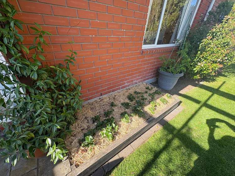 33B Esperance Street St Albans_23