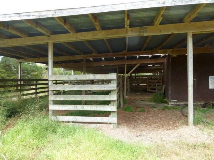 1577 Tangowahine Valley Road Dargaville Surrounds_12