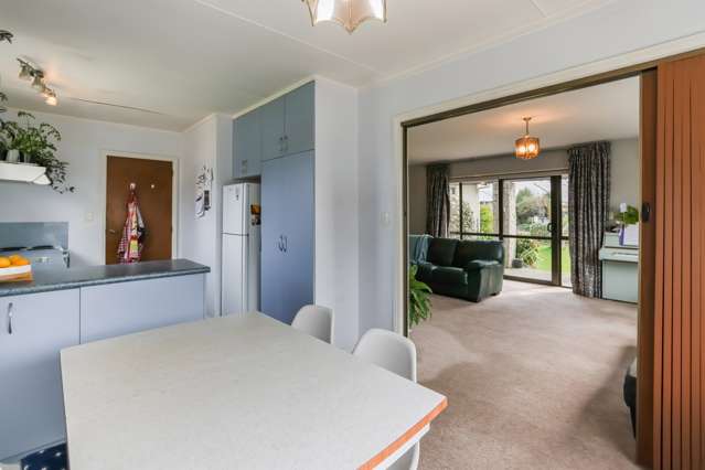 29 Mitchell Place Netherby_4