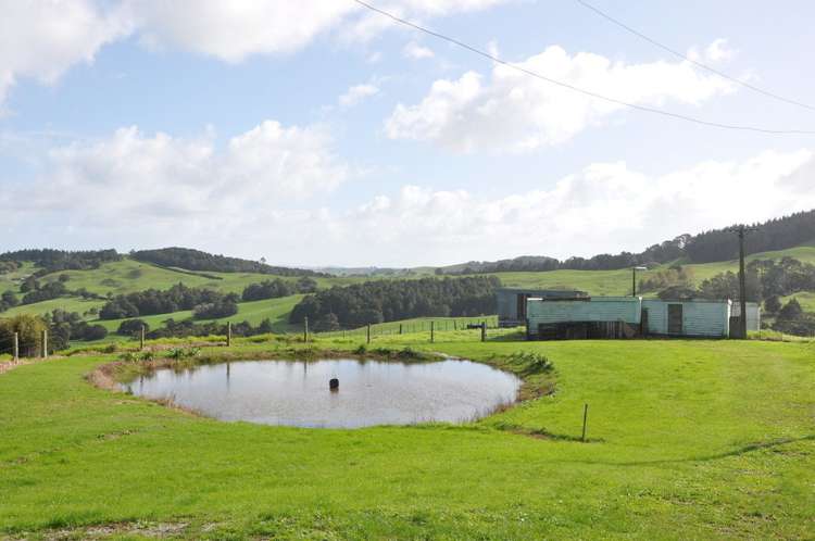 274 Partridge Road Wellsford_13