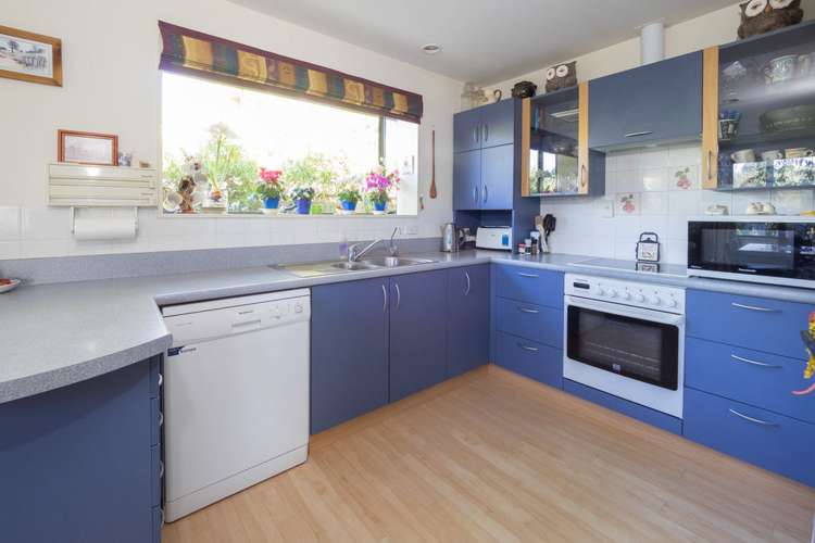 9 Thomson Street Tinwald_6