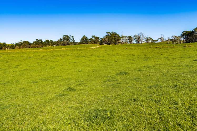 454 West Coast Road Te Kopuru_21