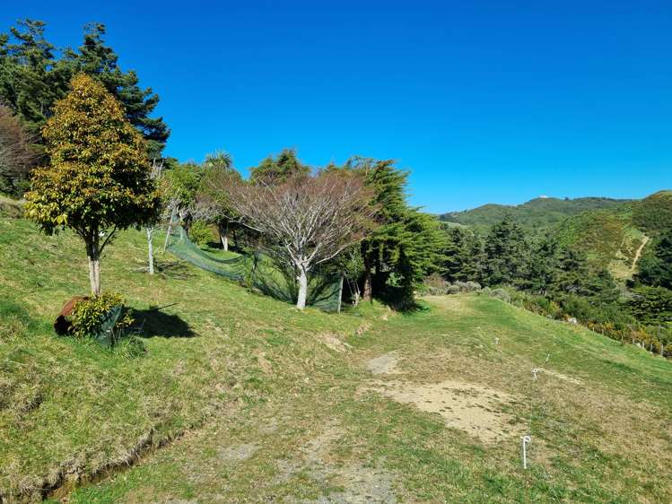 234 Stratton Street Normandale_7