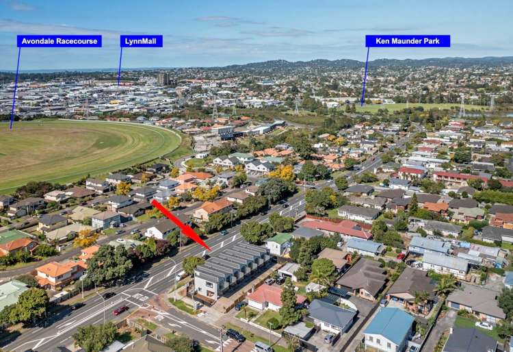 67b Ash Street Avondale_18